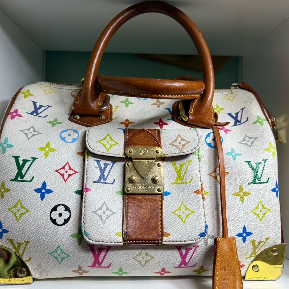 Iconic Speedy LV bag